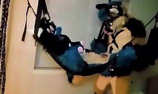 Furry Tied Up and Fucked